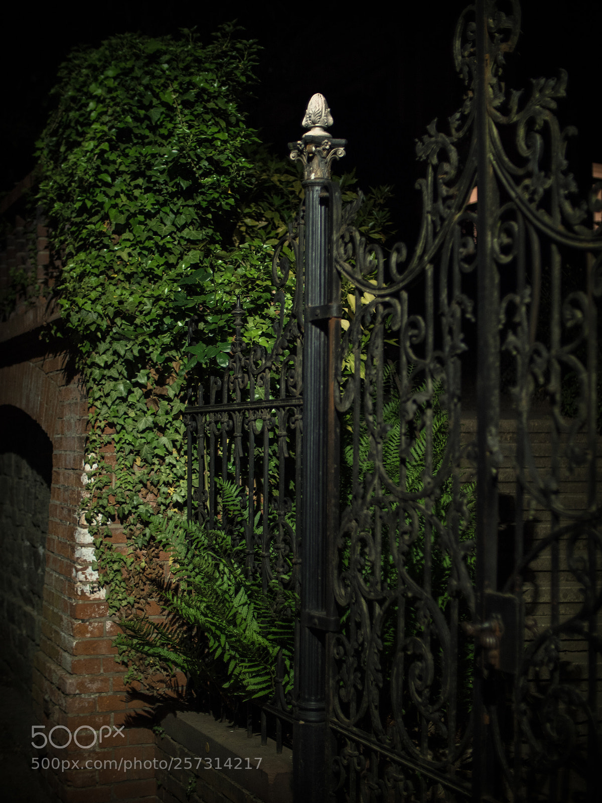 Olympus PEN-F sample photo. Gate photography
