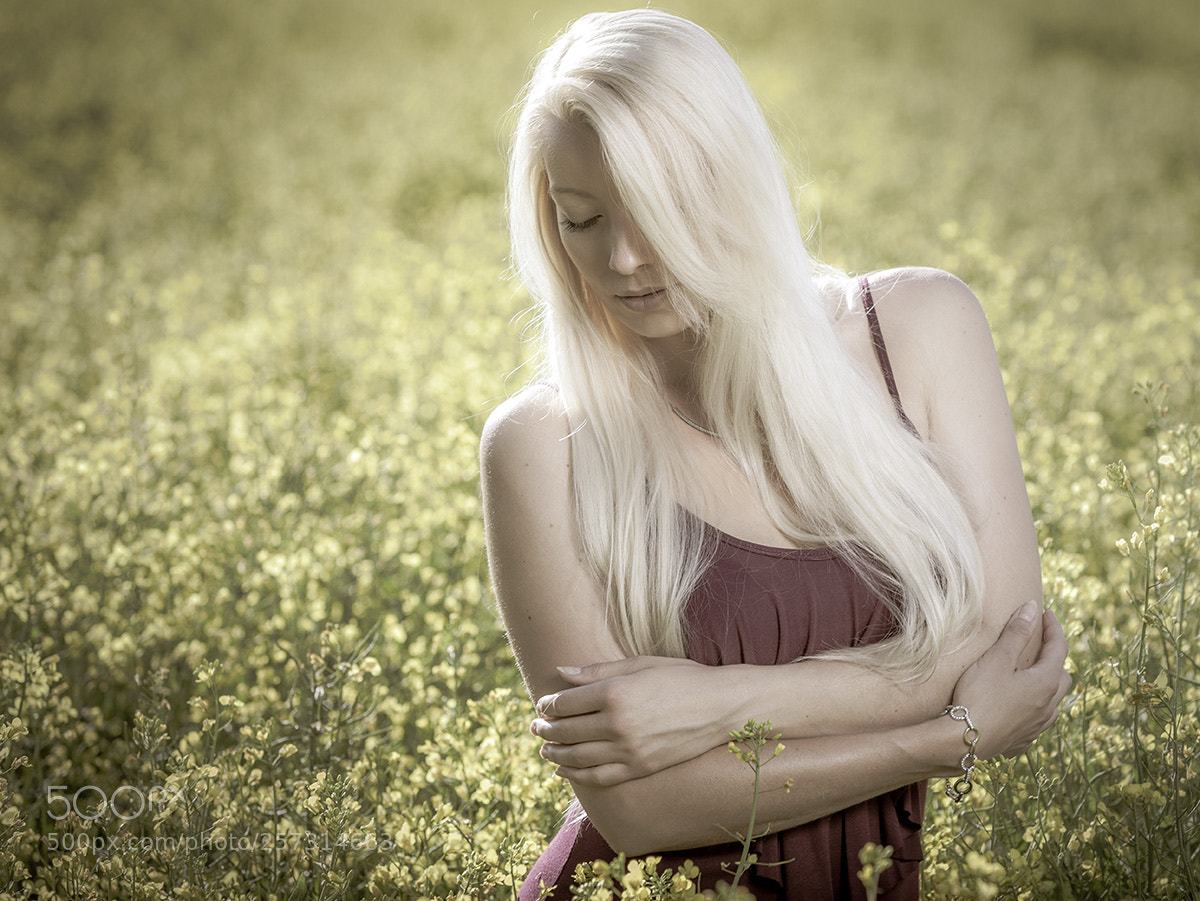 Canon EOS 5D Mark II sample photo. Soft photography