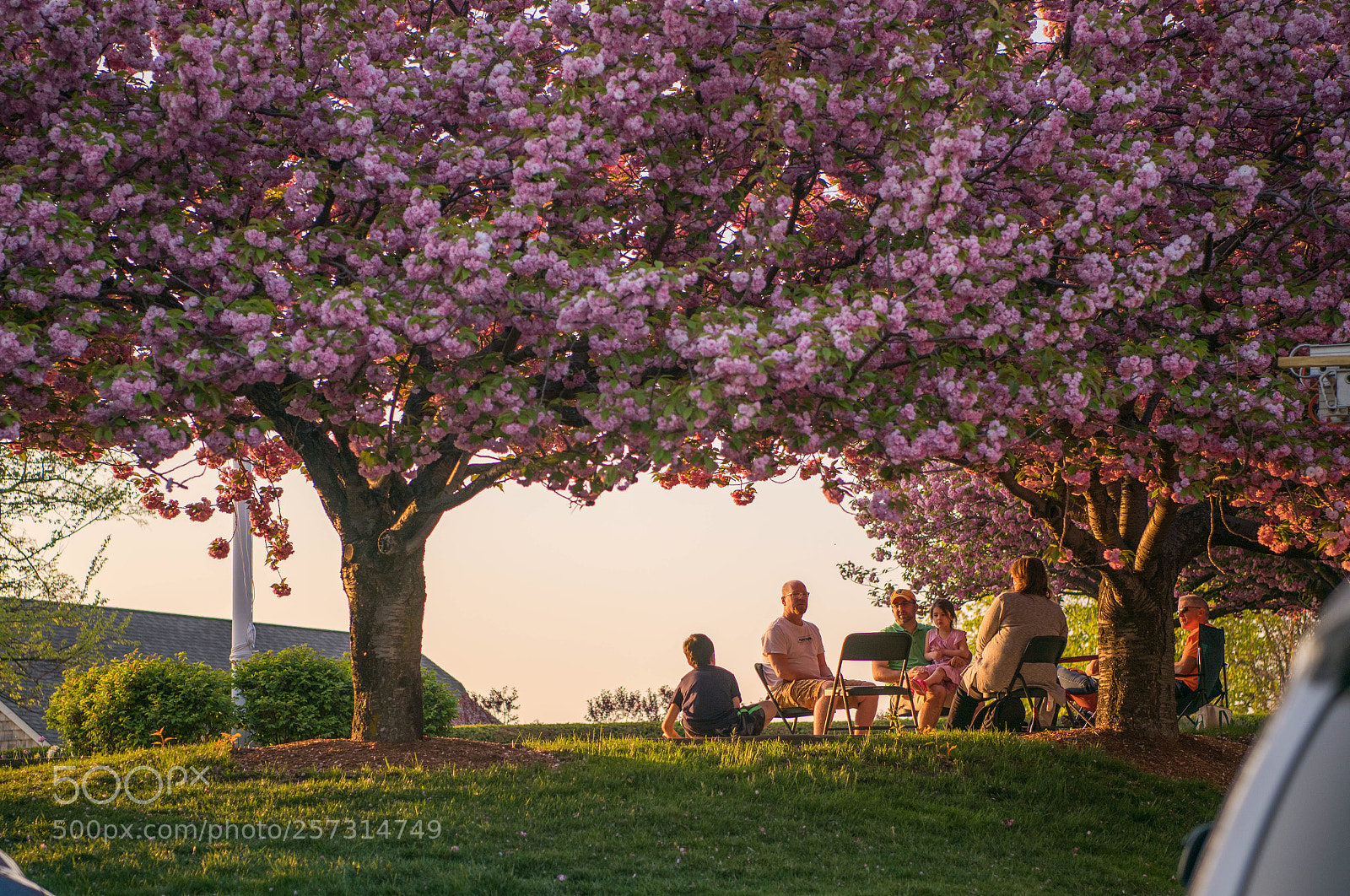 Nikon D850 sample photo. Bathing in spring sun photography