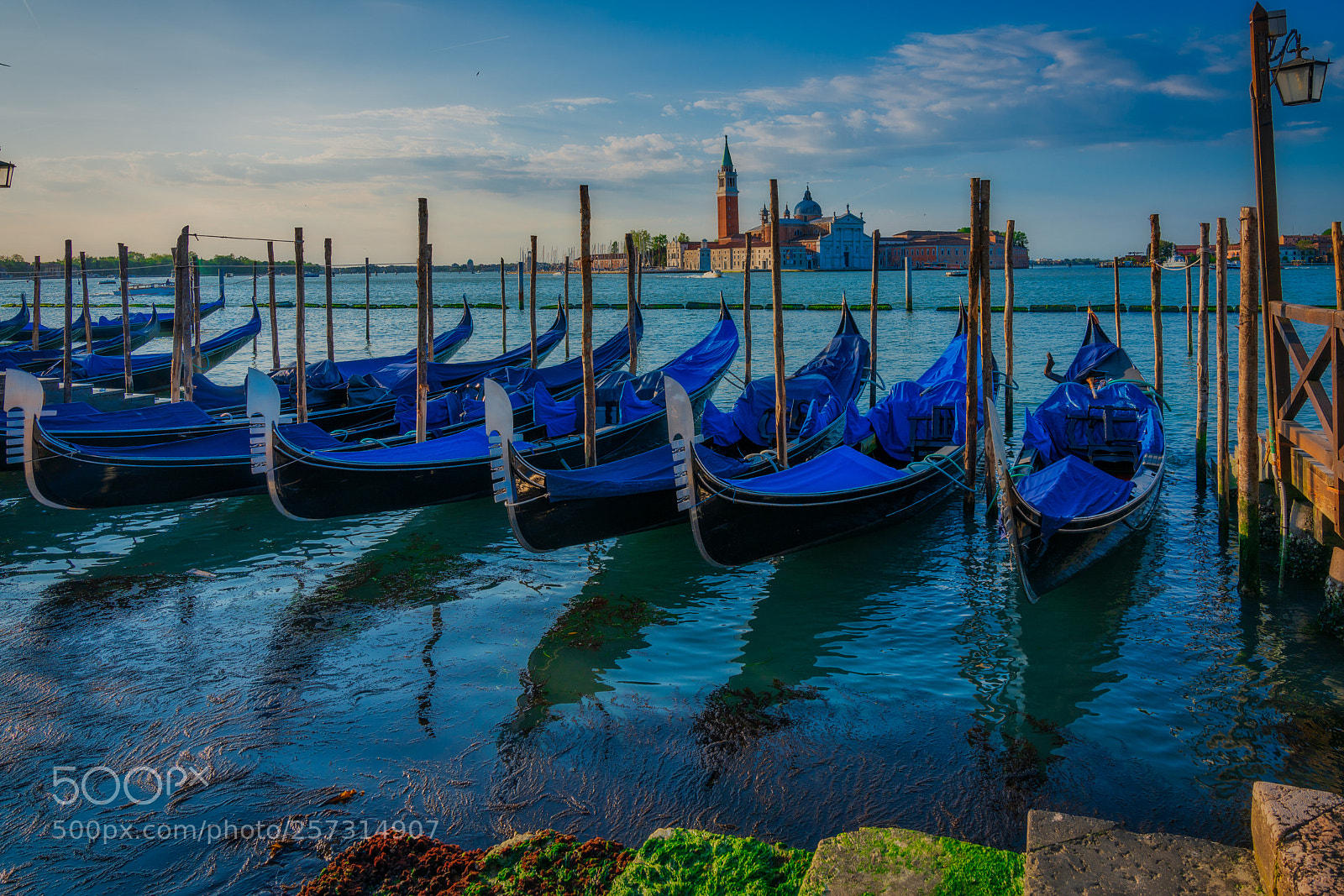 Sony a7R III sample photo. Exlpore venice 2 photography