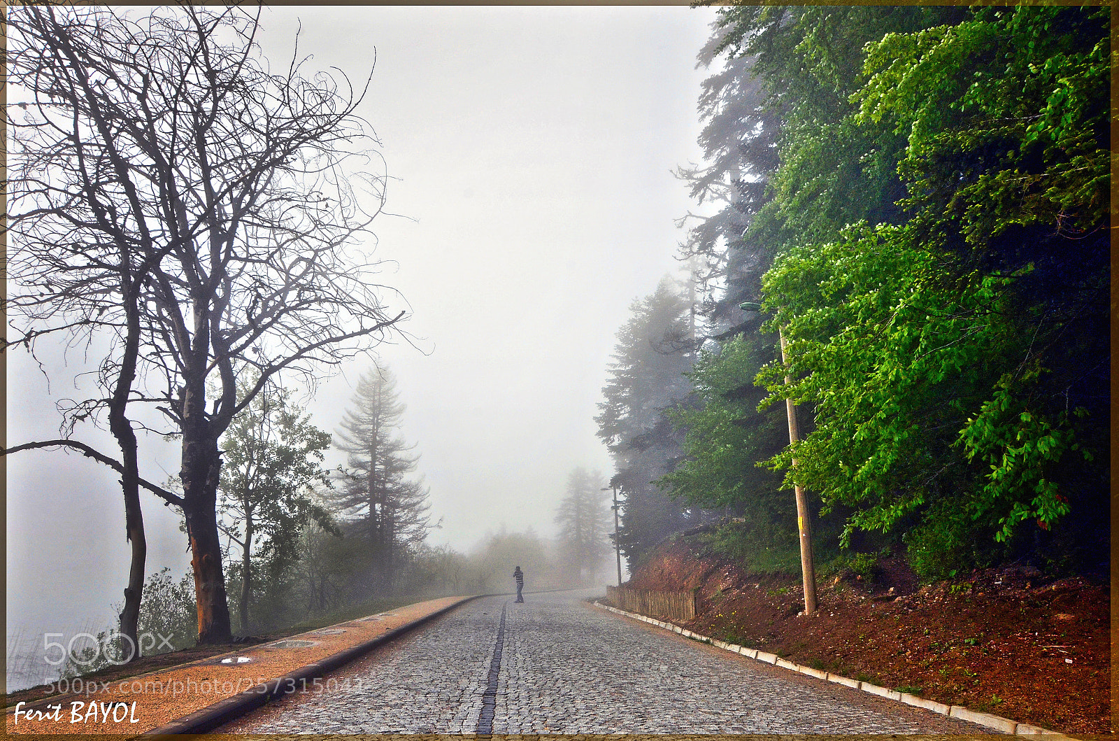 Nikon D7000 sample photo. Balancer photography