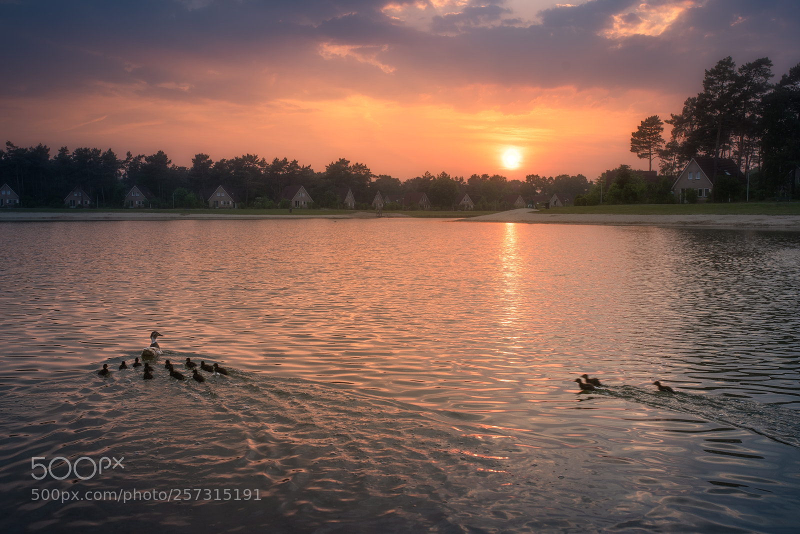 Nikon D750 sample photo. Sunset photography