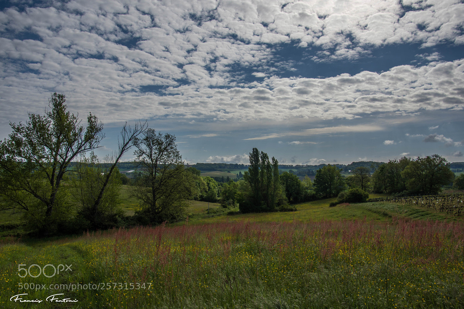 Nikon D7200 sample photo. Gers nuageux photography