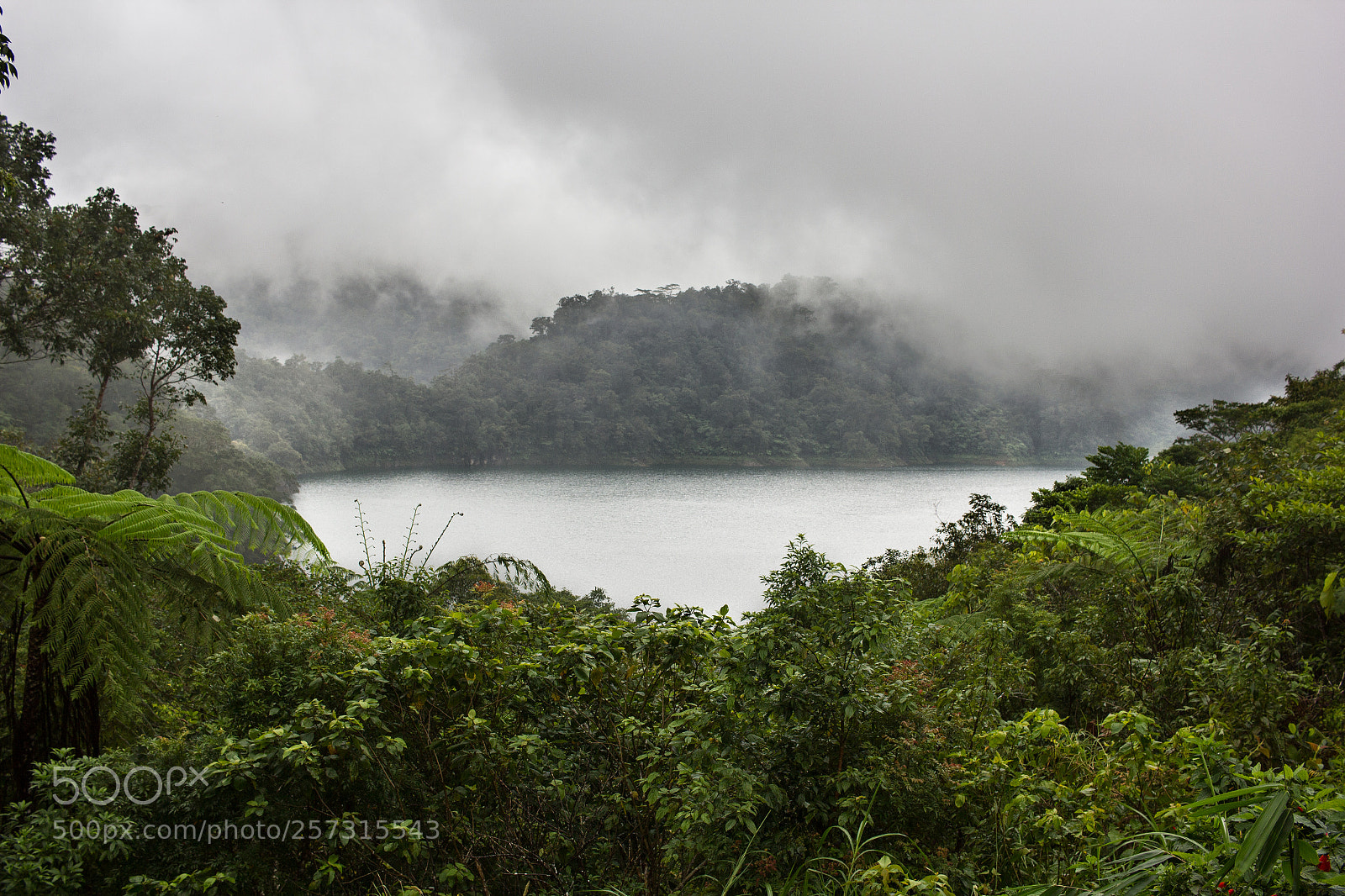 Canon EOS 550D (EOS Rebel T2i / EOS Kiss X4) sample photo. Negros, philippines photography