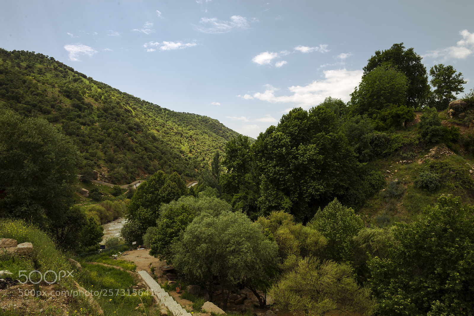 Nikon D610 sample photo. Bisheh valley photography