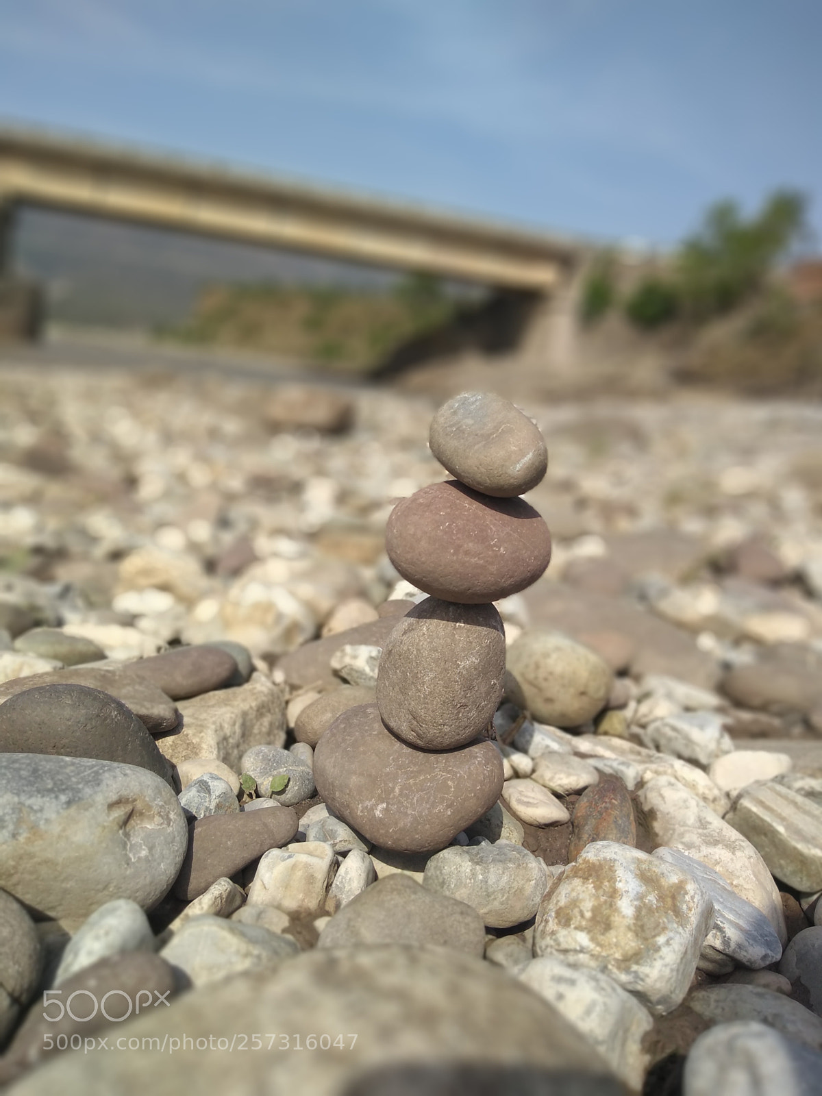 Motorola Moto G (5S) Plus sample photo. Untitled photography