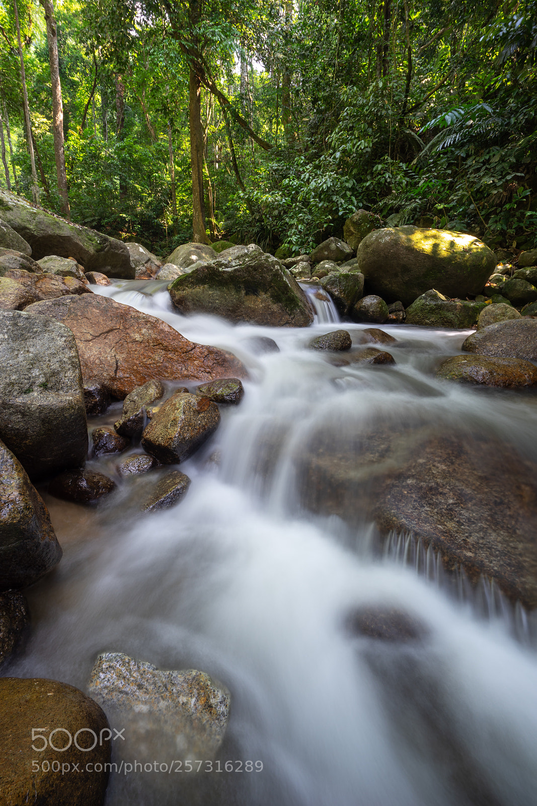 Sony a7 sample photo. ... photography