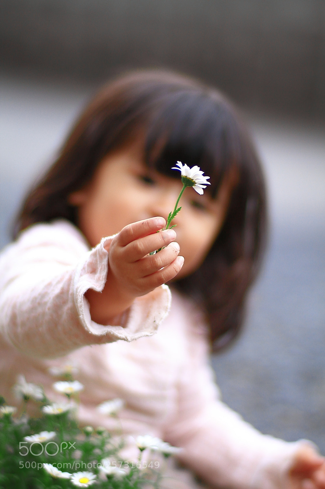 Canon EOS 7D + Canon EF 50mm F1.8 II sample photo. Girl's kindness photography