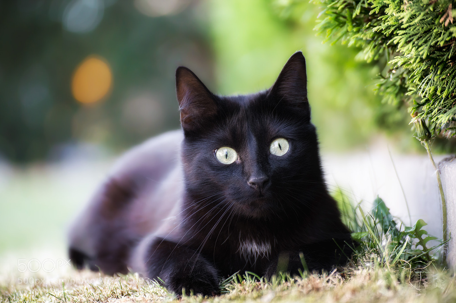 Canon EOS 6D sample photo. Fips photography