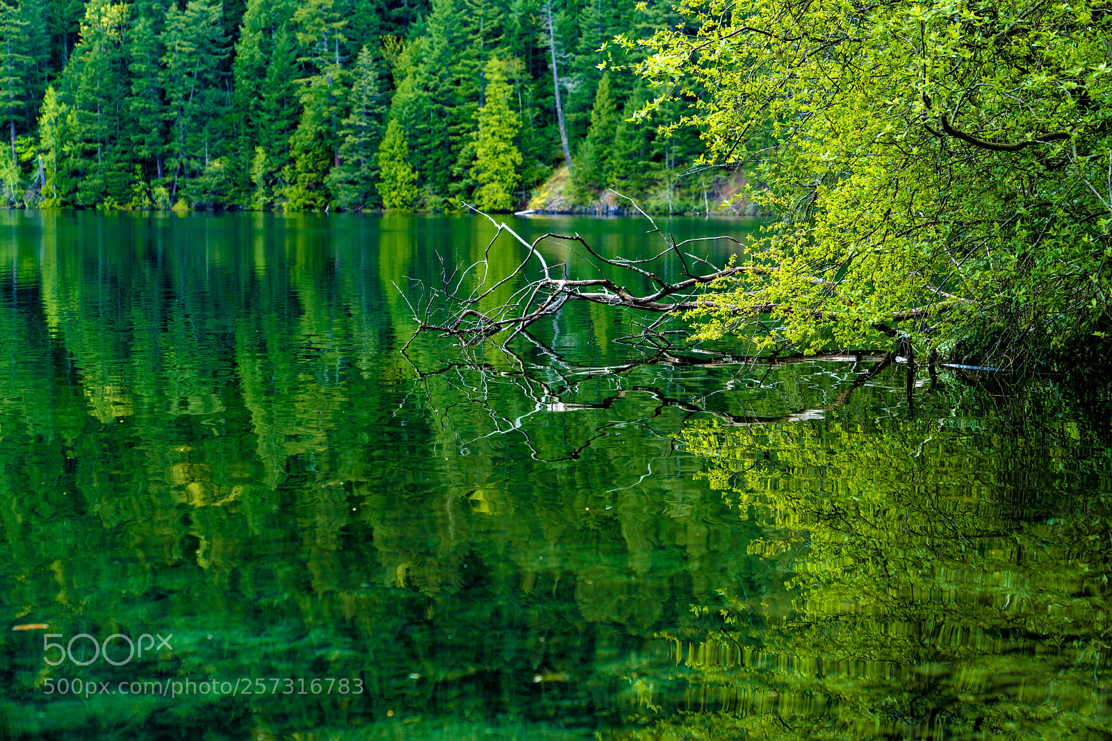 Sony a7R III sample photo. The lake photography