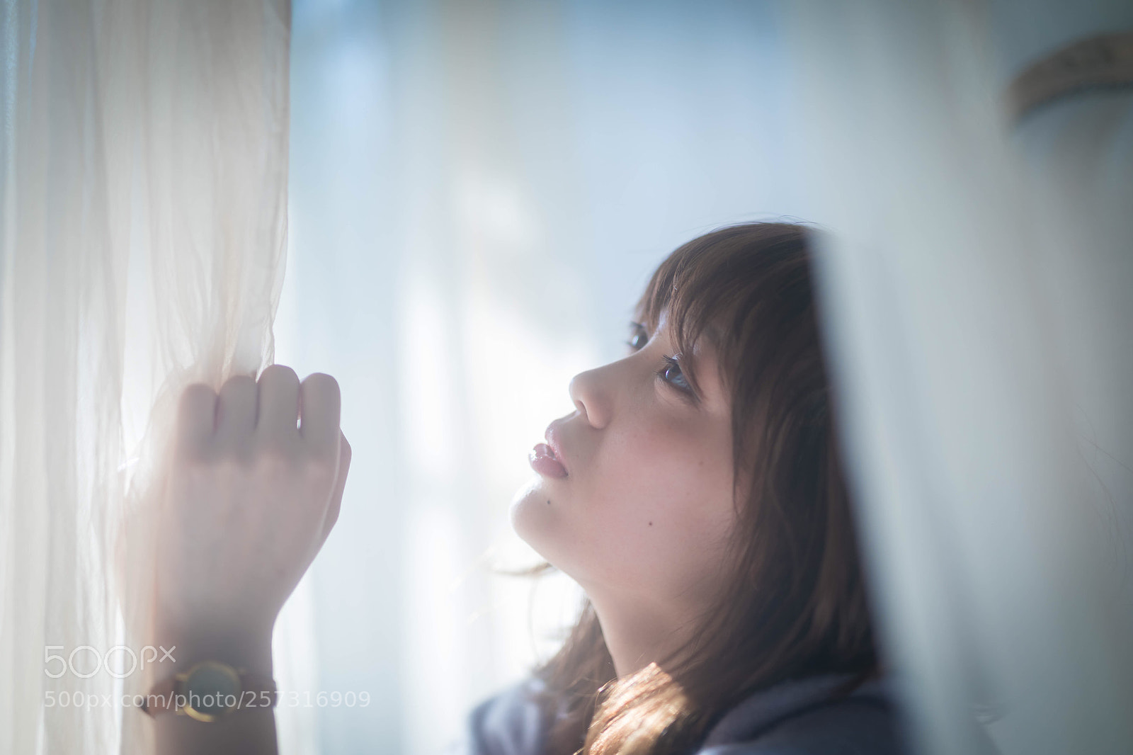 Canon EOS 5D Mark IV sample photo. Rino photography