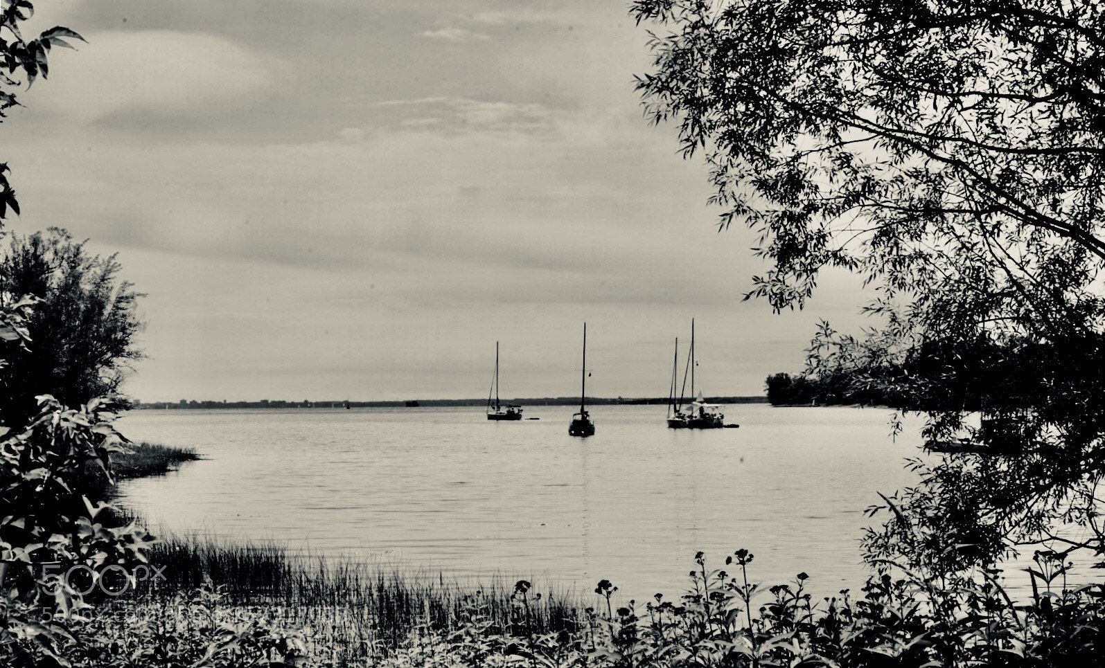 Sony a7 II sample photo. Placid wait photography