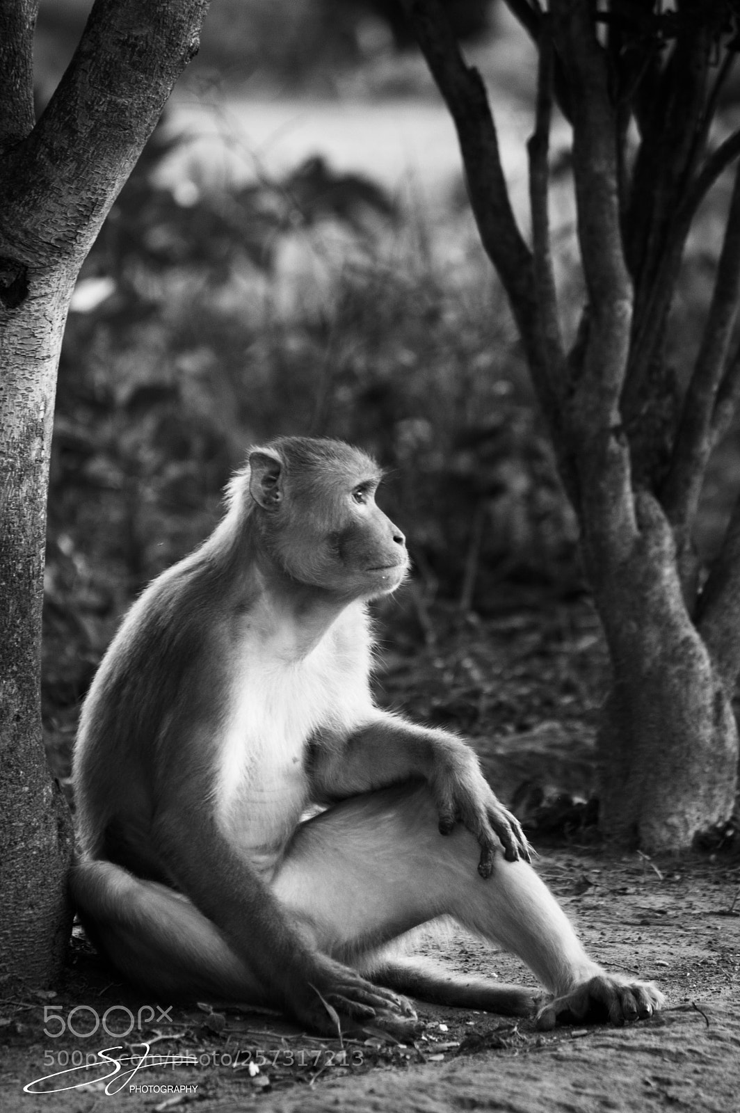 Nikon D3200 sample photo. Mindfulness photography