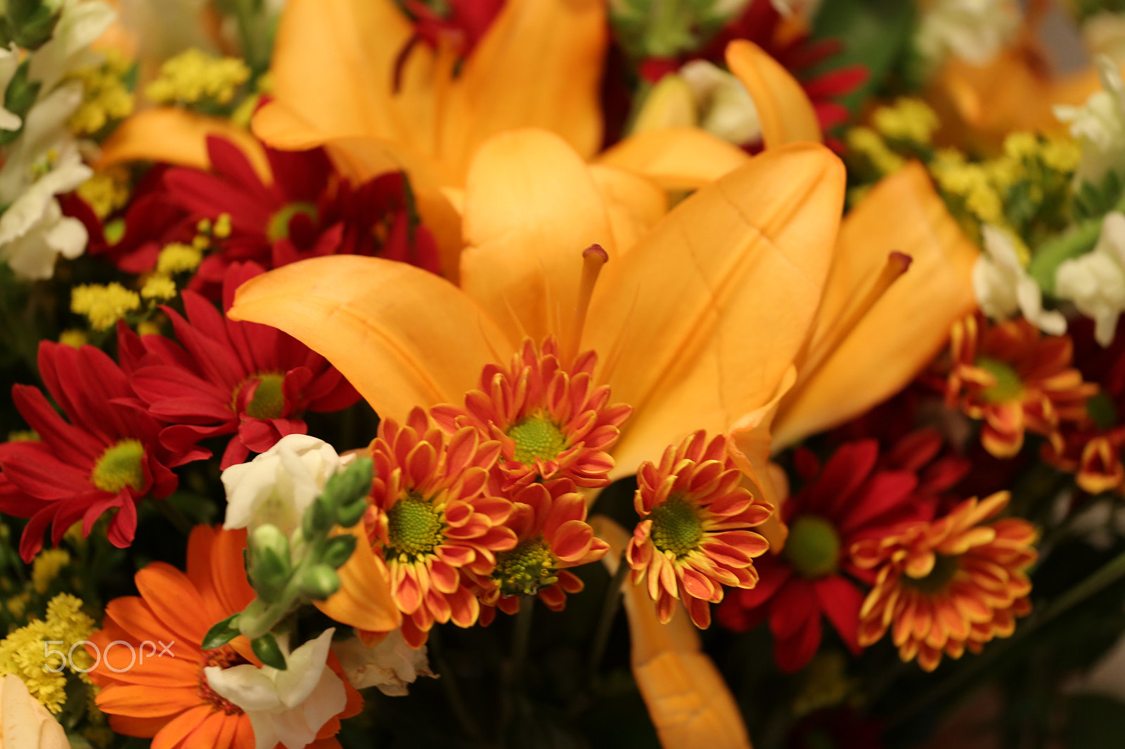 Canon EOS 6D + Canon EF 70-200mm F4L USM sample photo. Bouquet detail photography
