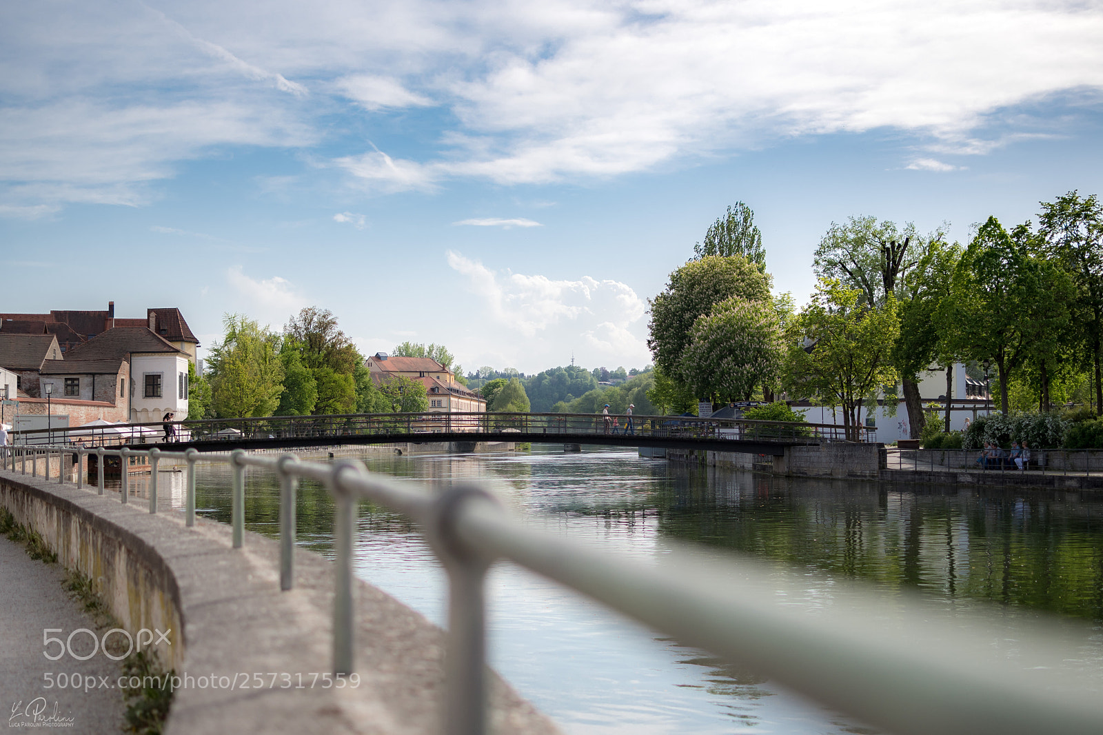 Nikon D7500 sample photo. A walk along the photography