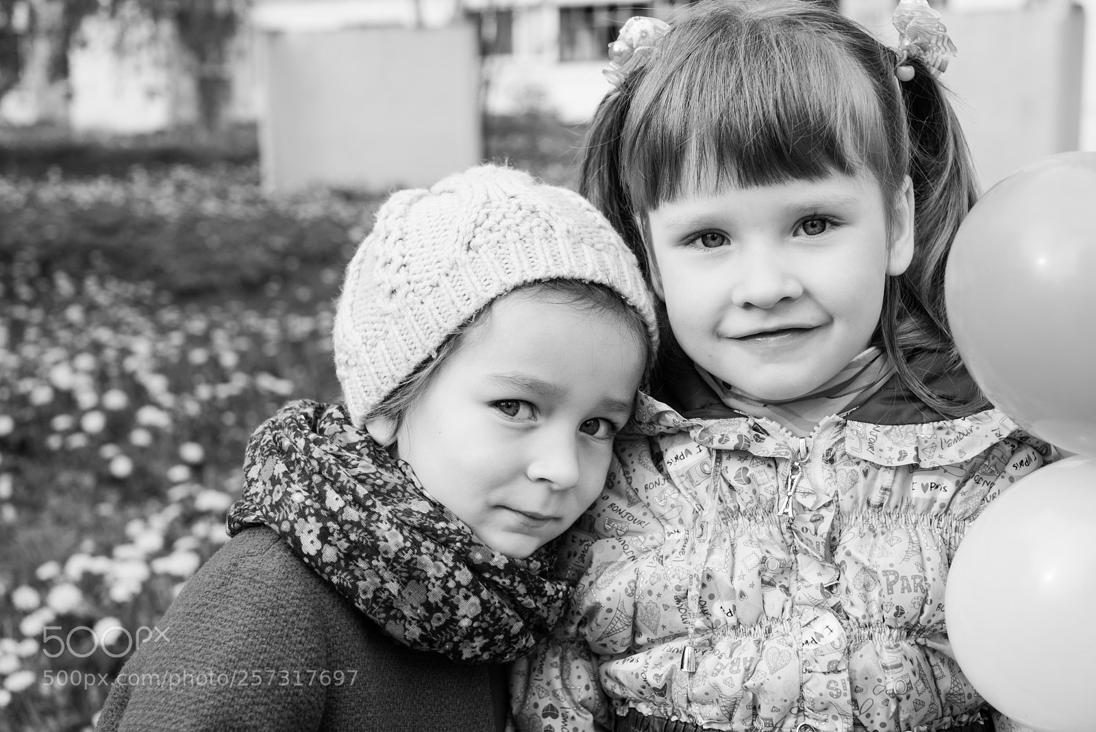 Nikon D800E sample photo. Untitled photography
