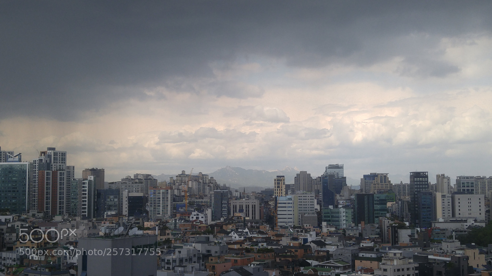 LG G4 sample photo. Untitled photography