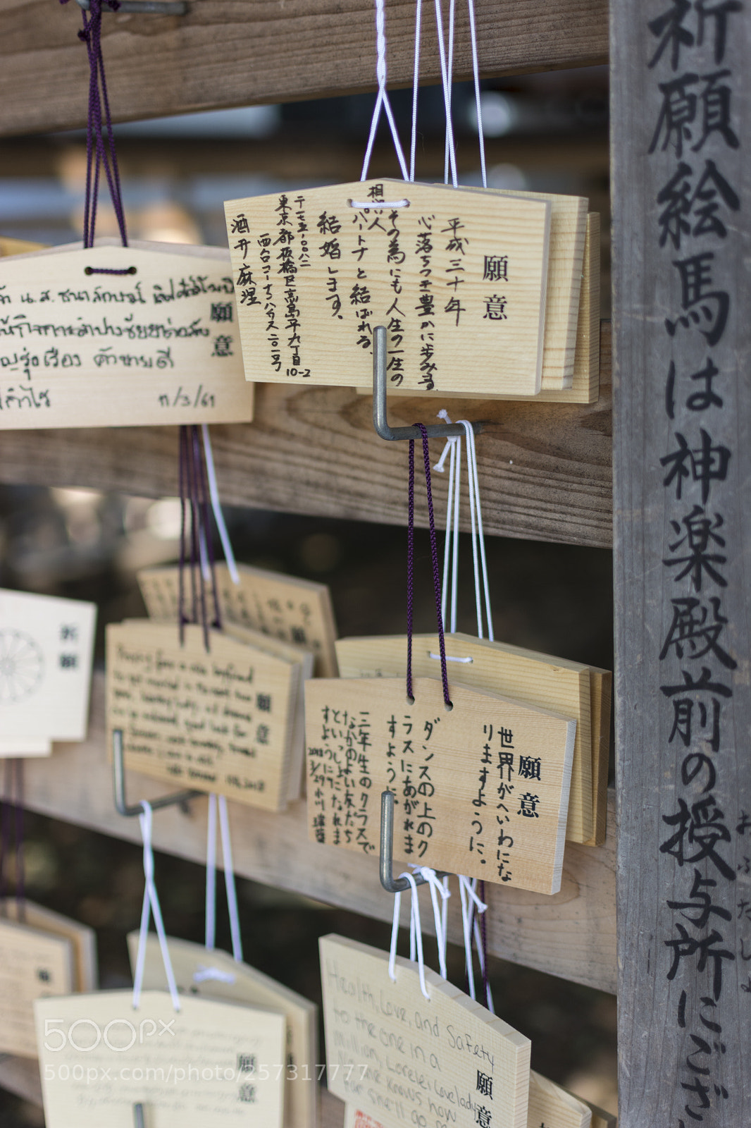Nikon D7100 sample photo. Japan photography
