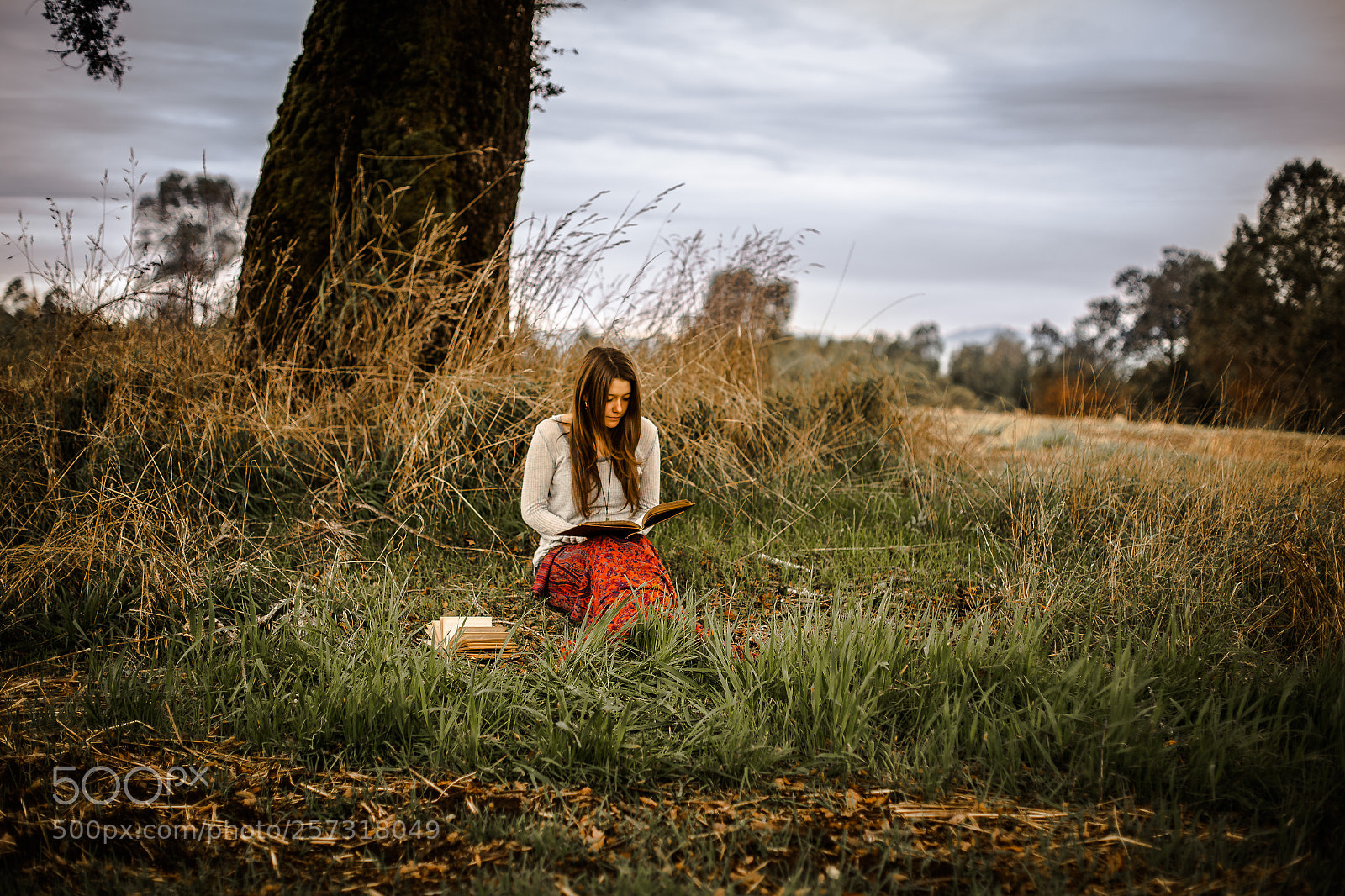 Canon EOS 6D sample photo. The reading girl photography