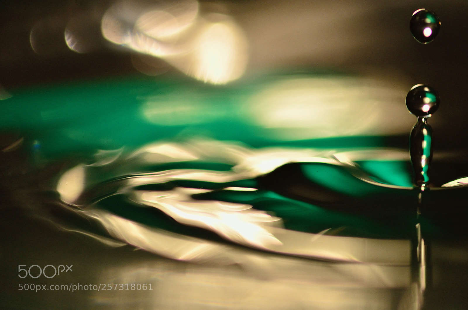 Nikon D7000 sample photo. Untitled photography