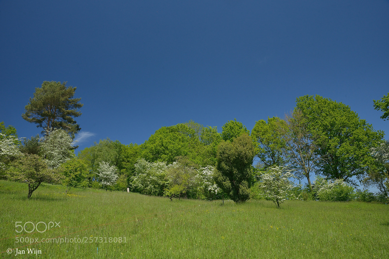 Nikon D800 sample photo. Gerendal photography