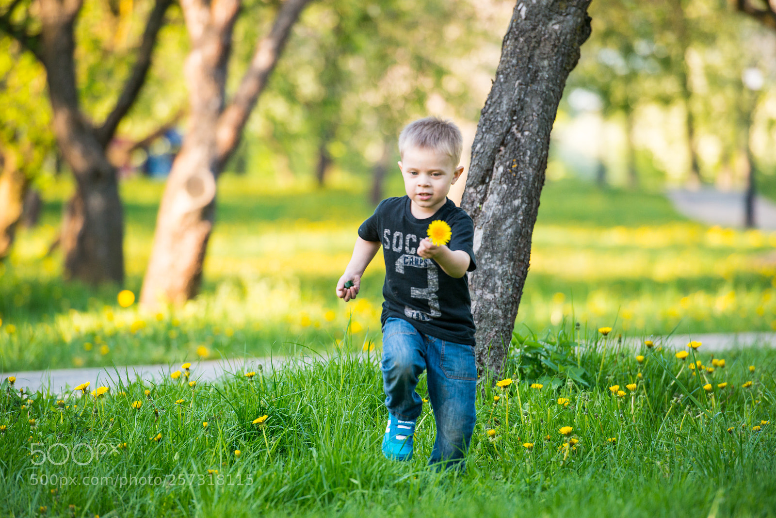 Nikon D800E sample photo. Untitled photography