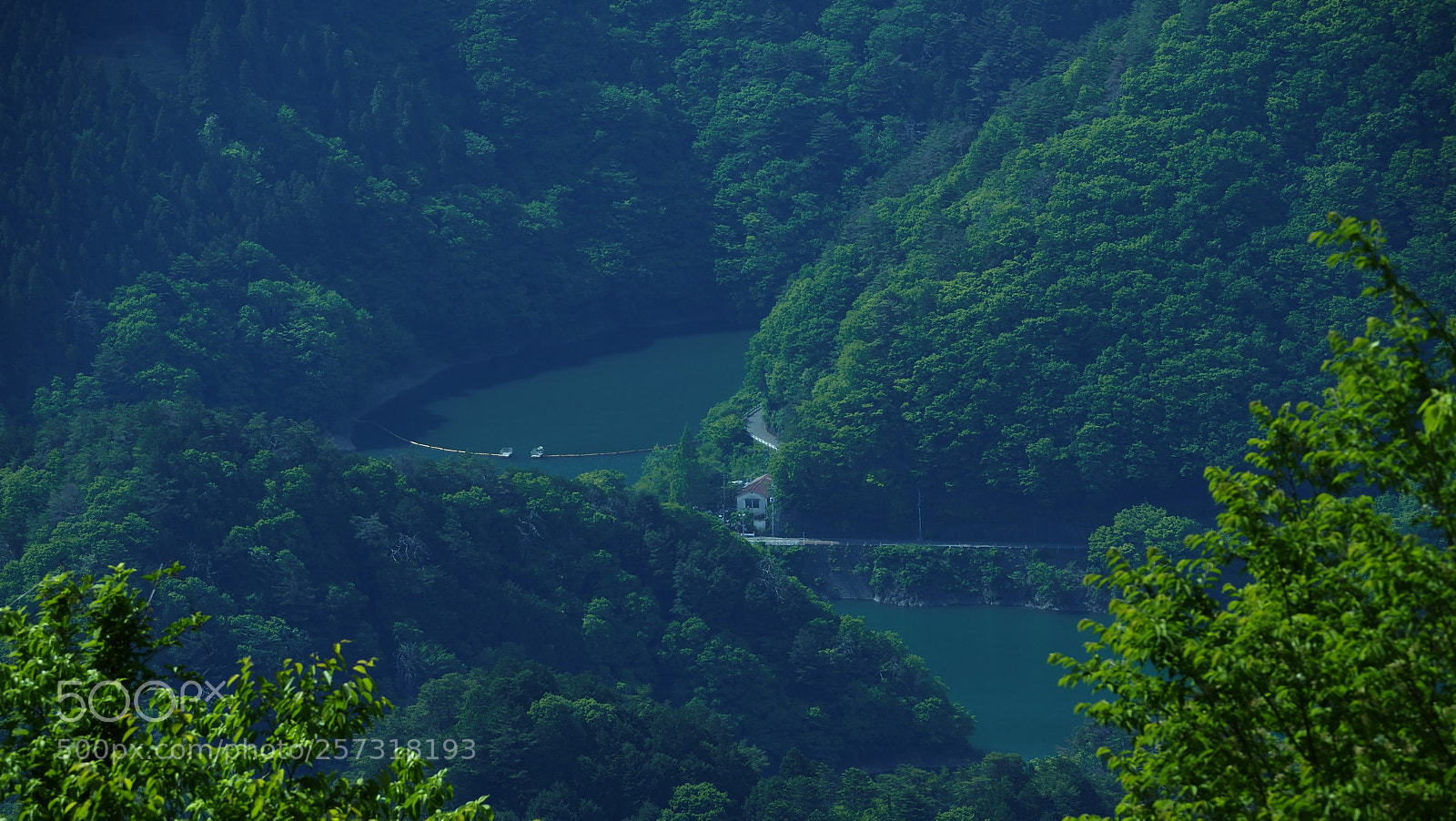 Olympus OM-D E-M1 Mark II sample photo. Quietly standing photography