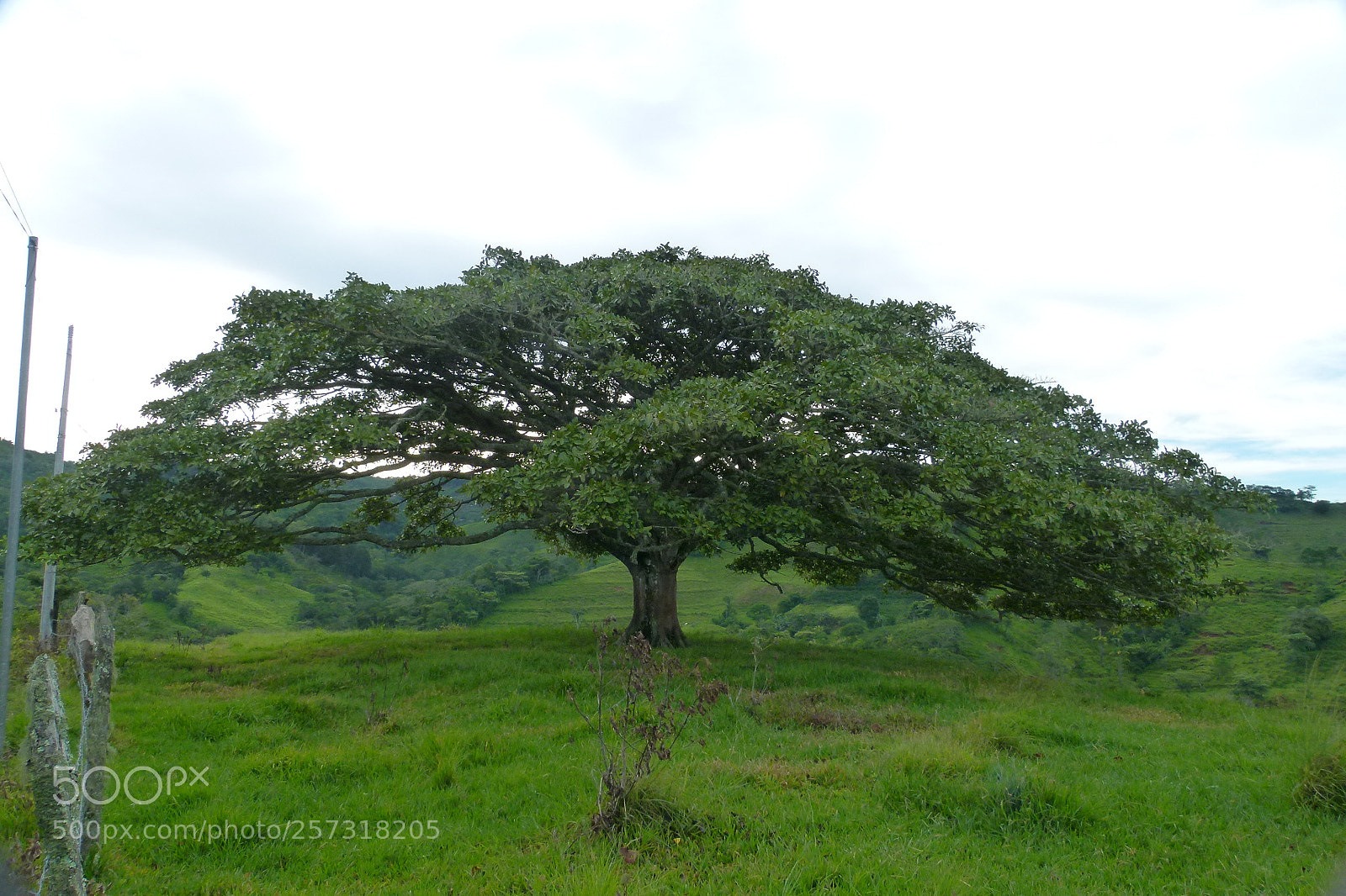 Panasonic Lumix DMC-FZ100 sample photo. La crus de piedades () photography