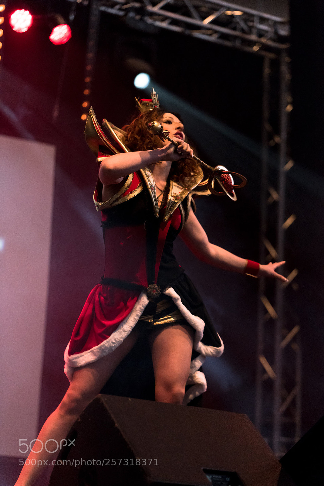 Nikon D750 sample photo. Off with their heads photography