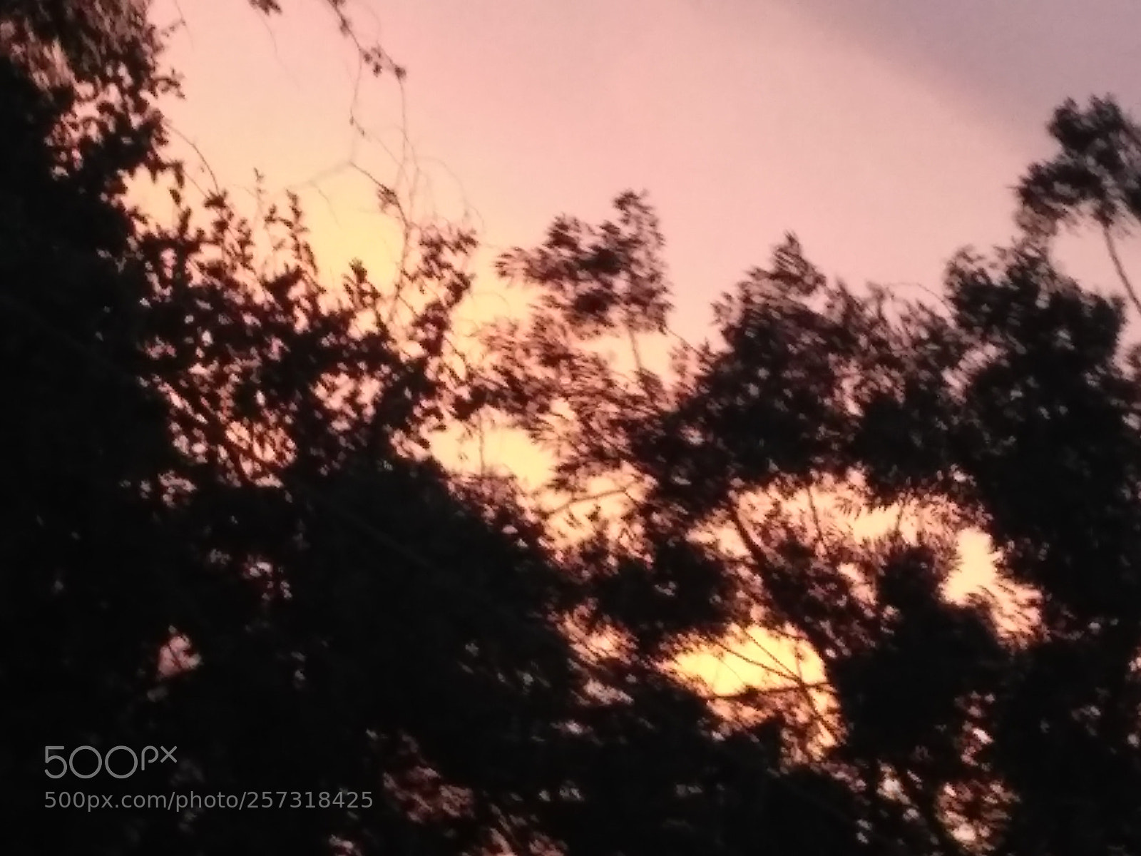 Xiaomi Redmi 3S sample photo. Img_20180509_191537.jpg photography