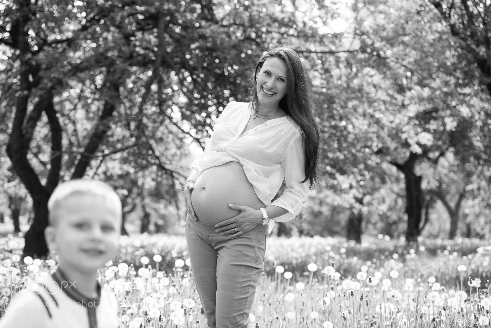 Nikon D800E sample photo. Untitled photography