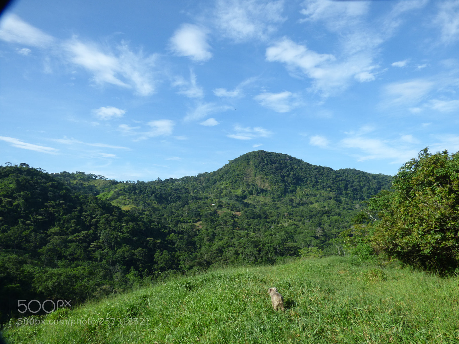 Panasonic Lumix DMC-FZ70 sample photo. La crus de piedades () photography
