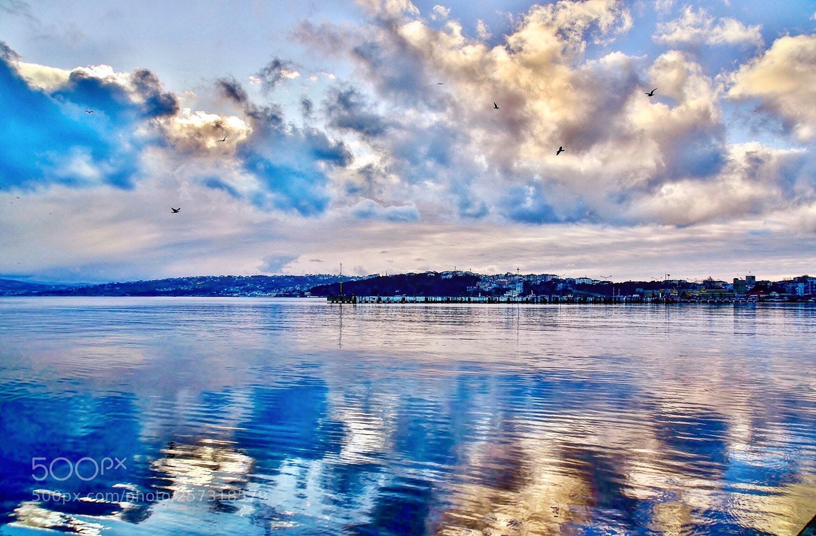 Nikon D7000 sample photo. Reflection  photography