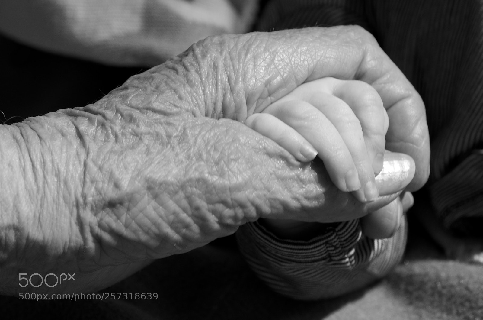 Nikon D7000 sample photo. Untitled photography