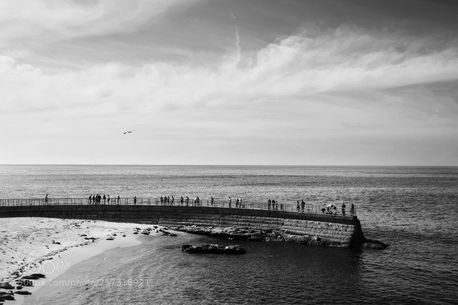 Fujifilm X-E3 sample photo. Point mecinger photography