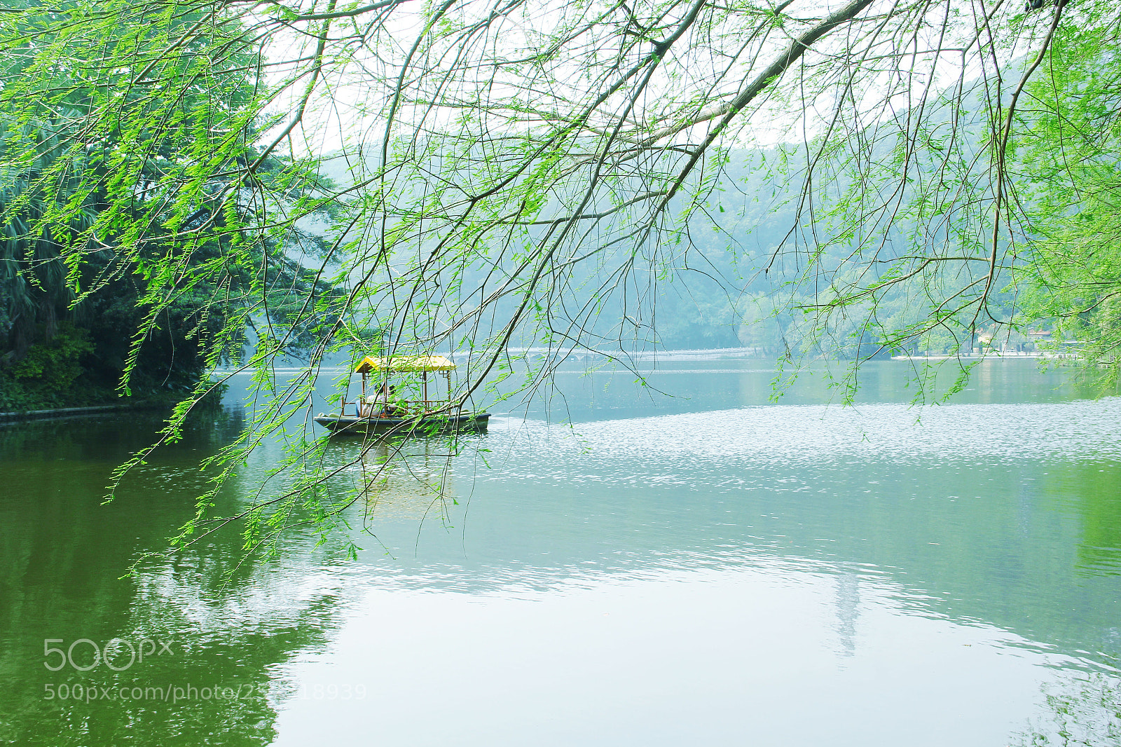 Canon EOS 60D sample photo. Untitled photography