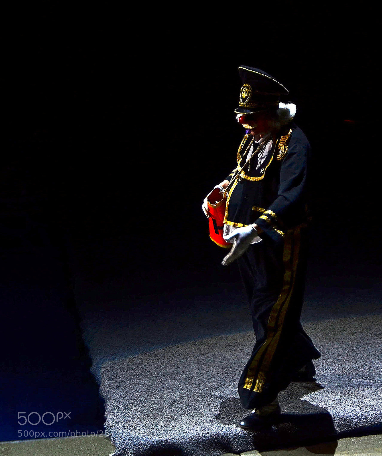 Nikon D7000 sample photo. A buffoon? photography