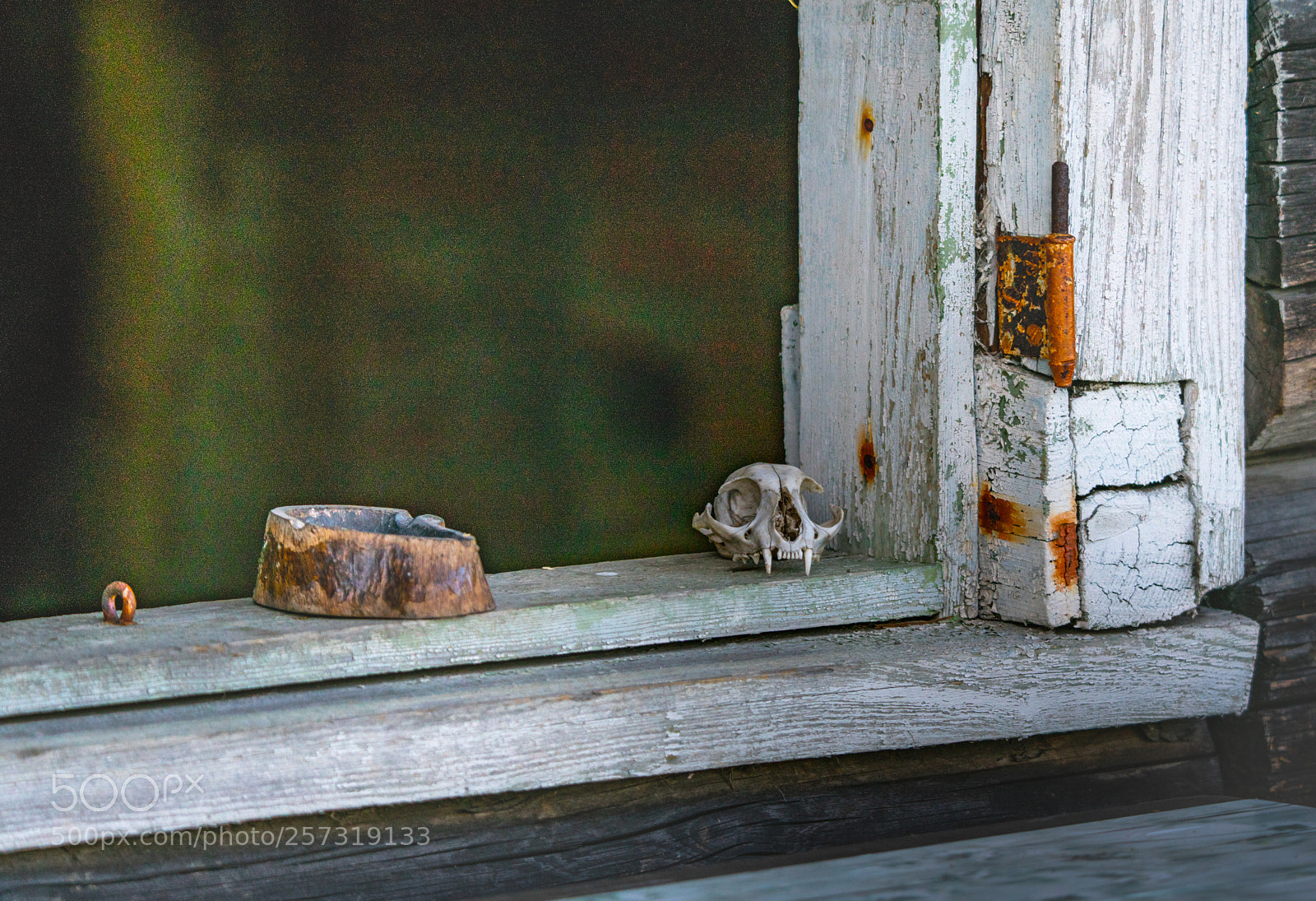 Sony a7R II sample photo. Dsc photography