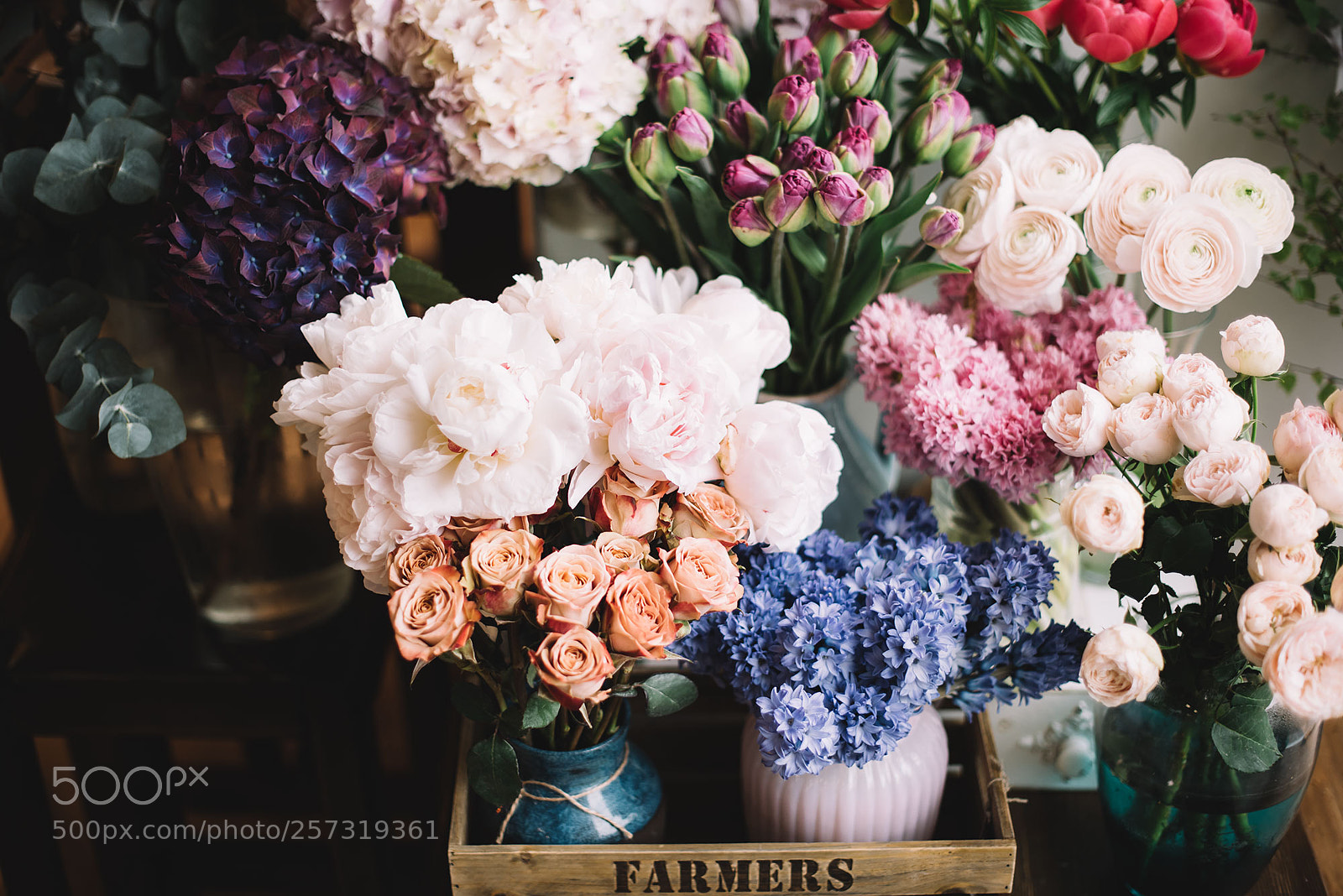 Nikon D810 sample photo. Fresh blossoms photography