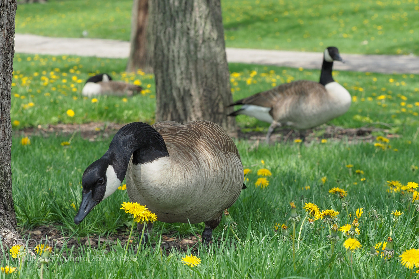 Olympus OM-D E-M1 Mark II sample photo. Testing 40-150 mm f2,8 photography