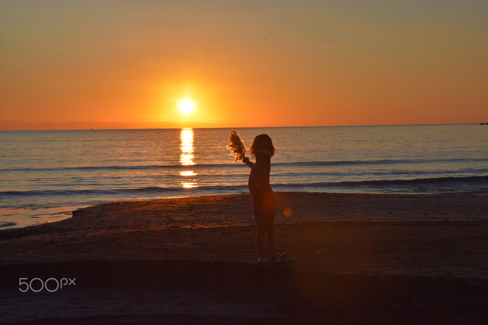 Nikon D7200 sample photo. Sleepy sun photography