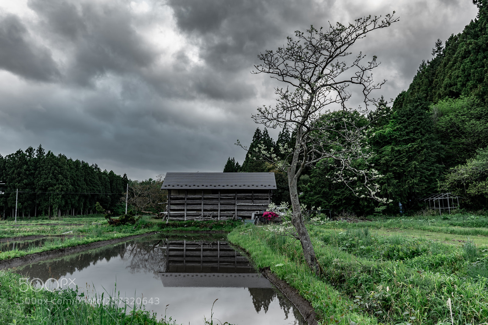Sony a7 III sample photo. Lonely photography