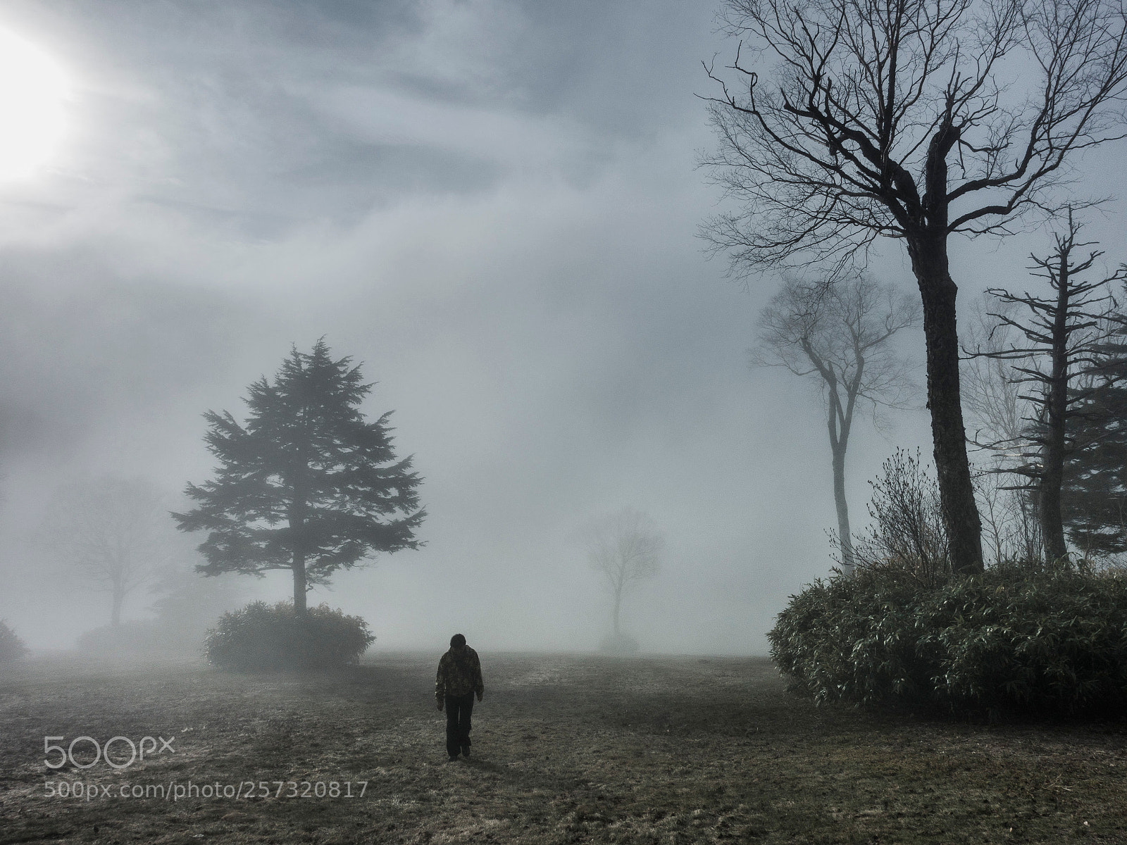 Sony Cyber-shot DSC-RX100 III sample photo. Walk in fog photography