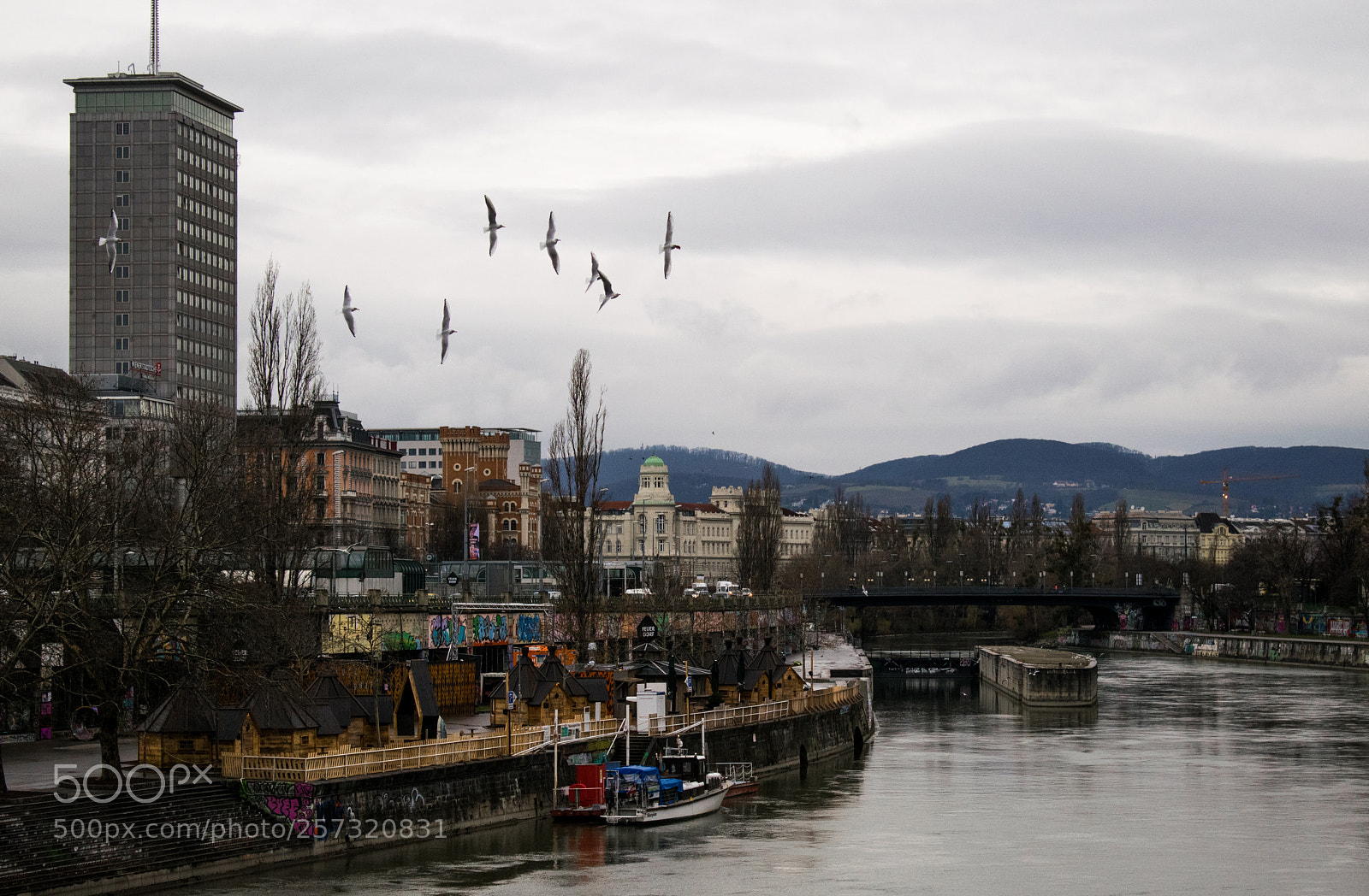 Nikon D3300 sample photo. Flying.. photography