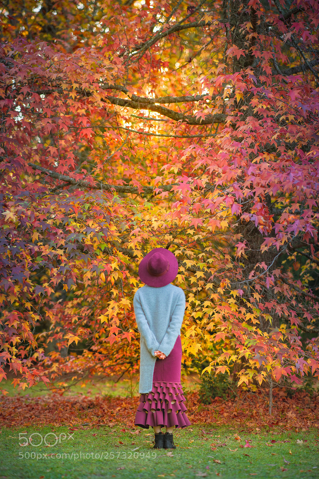 Nikon D850 sample photo. Autumn wish photography