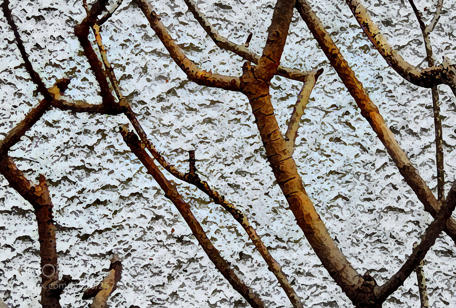 Nikon Coolpix P520 sample photo. Enjoying the sun photography