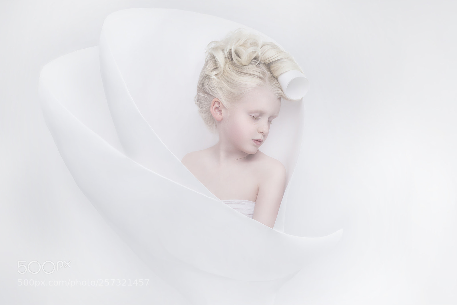 Nikon D750 sample photo. Softness photography