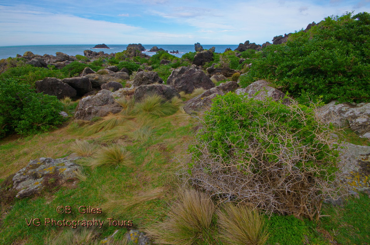 Pentax K-5 IIs sample photo. Cape palliser, new zealand photography