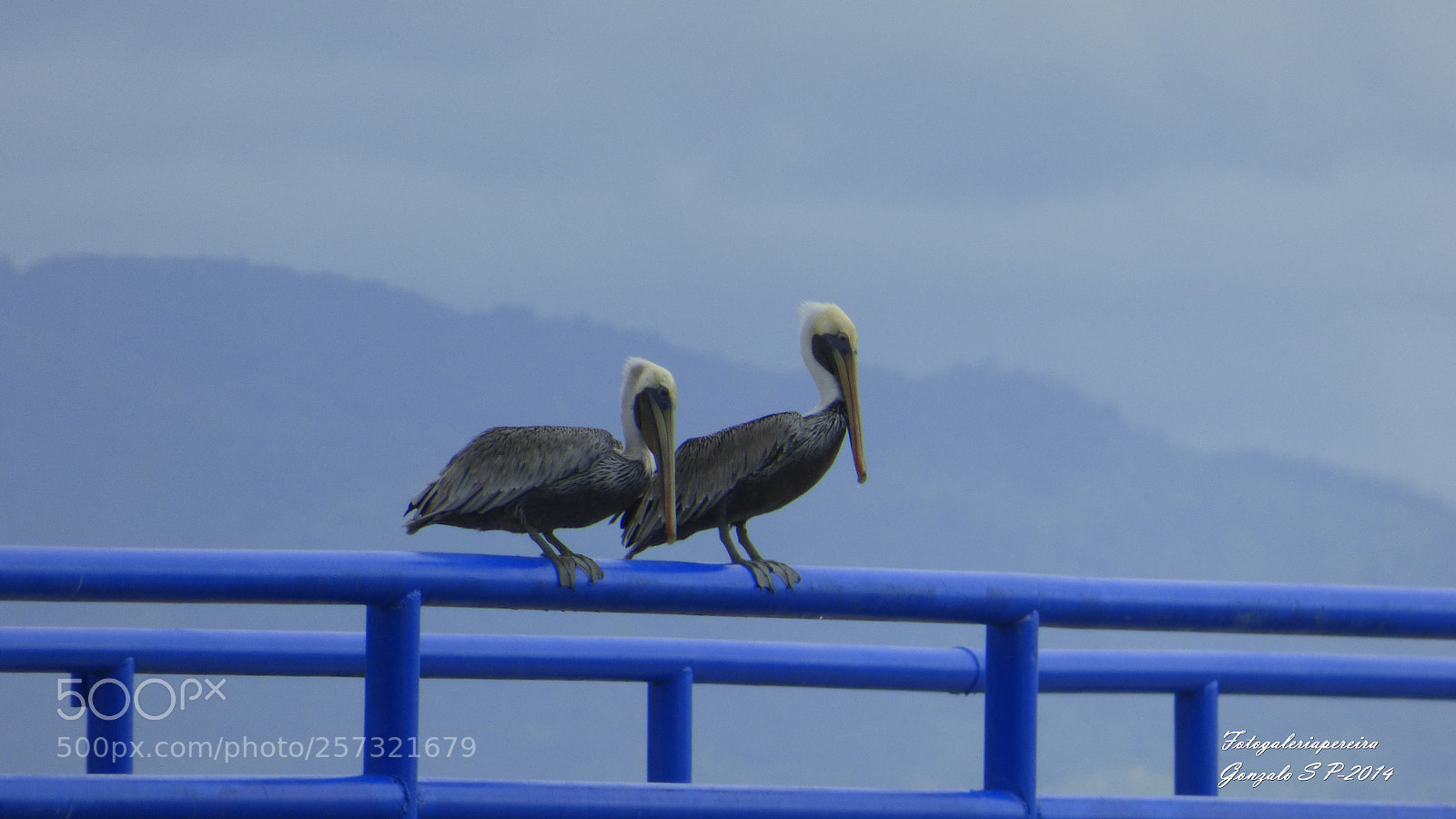 Panasonic Lumix DMC-FZ70 sample photo. Dadeo photography