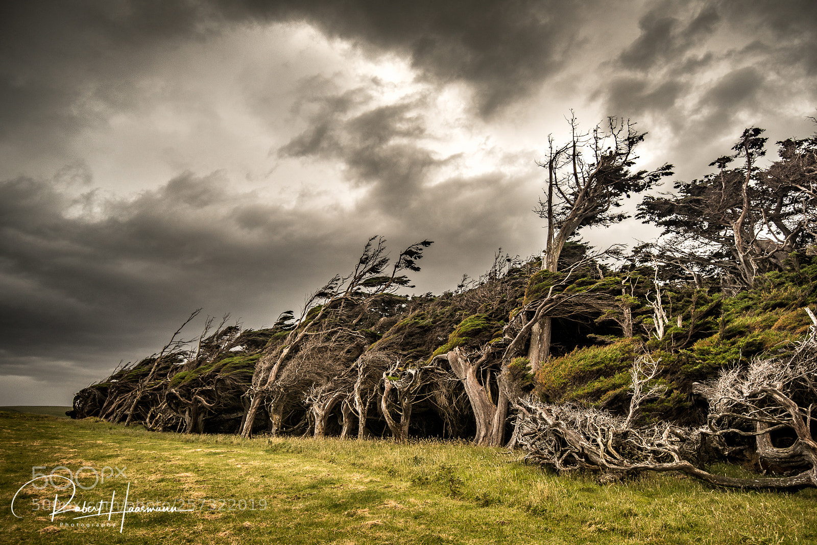 Nikon D800 sample photo. The shape of wind photography